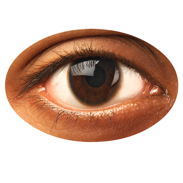 Eye