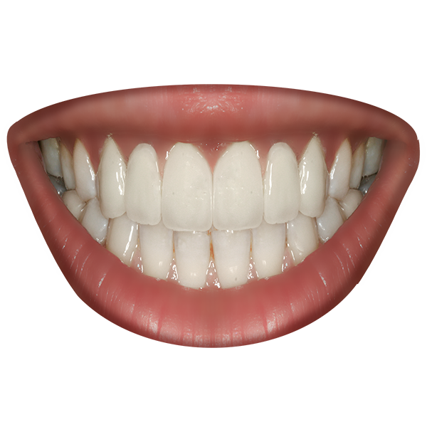 Teeth