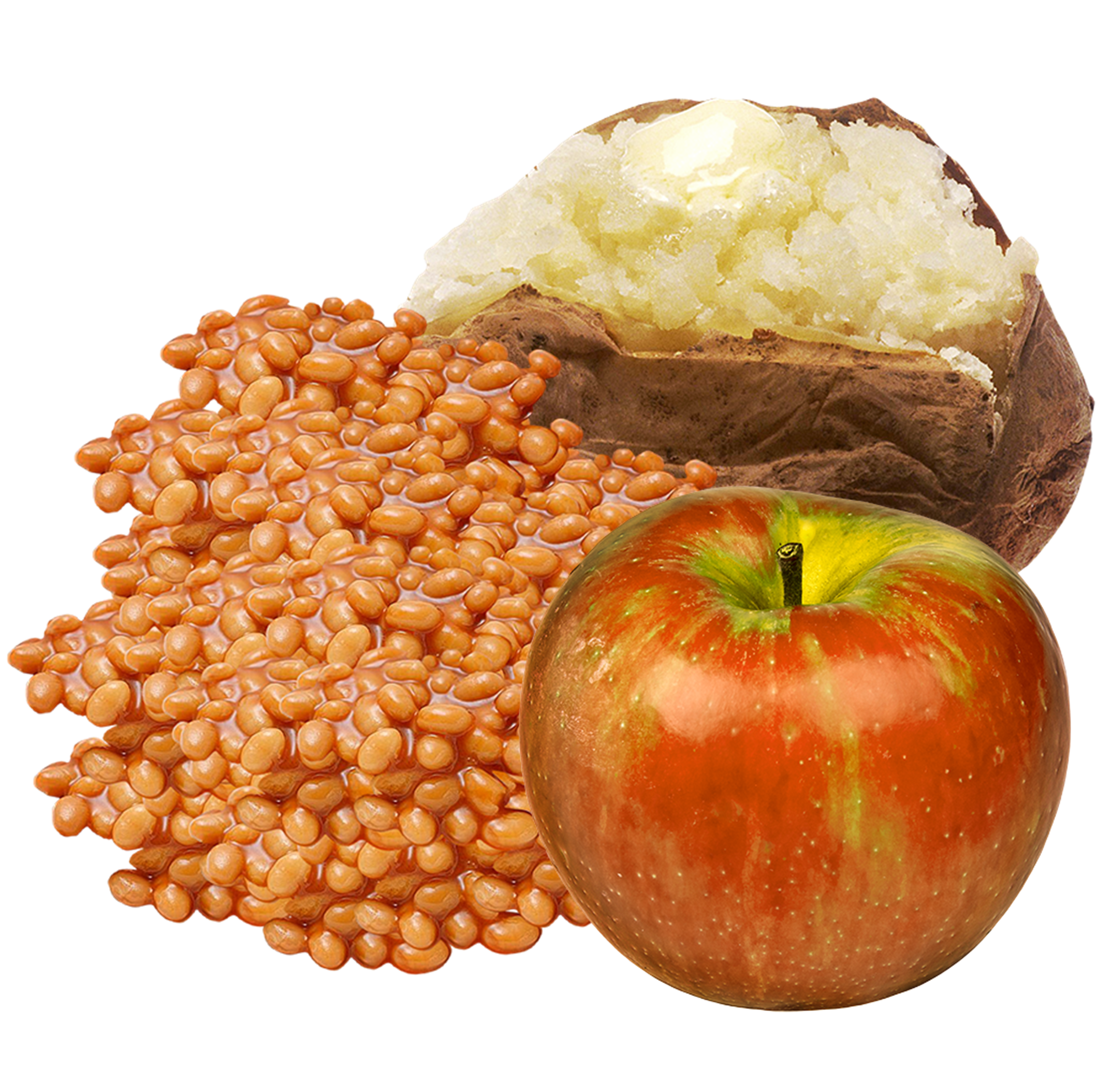 meal