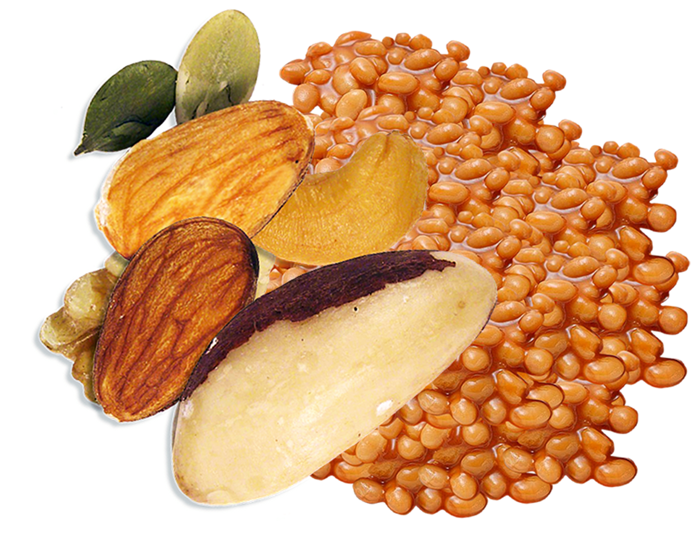 nutsbeans