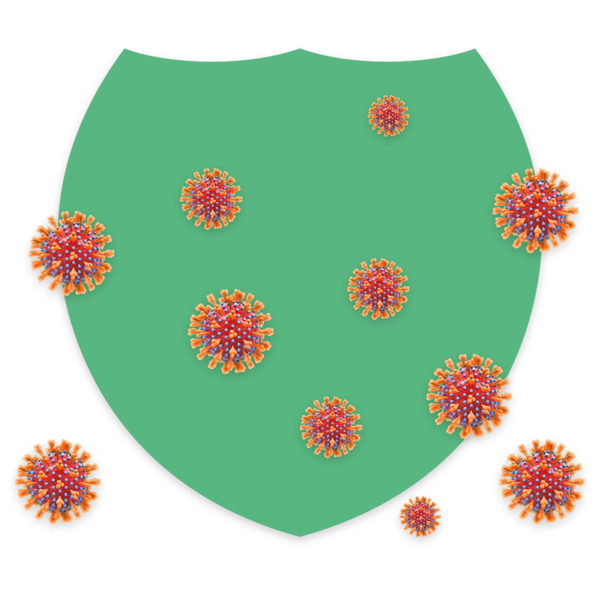 Virus Shield