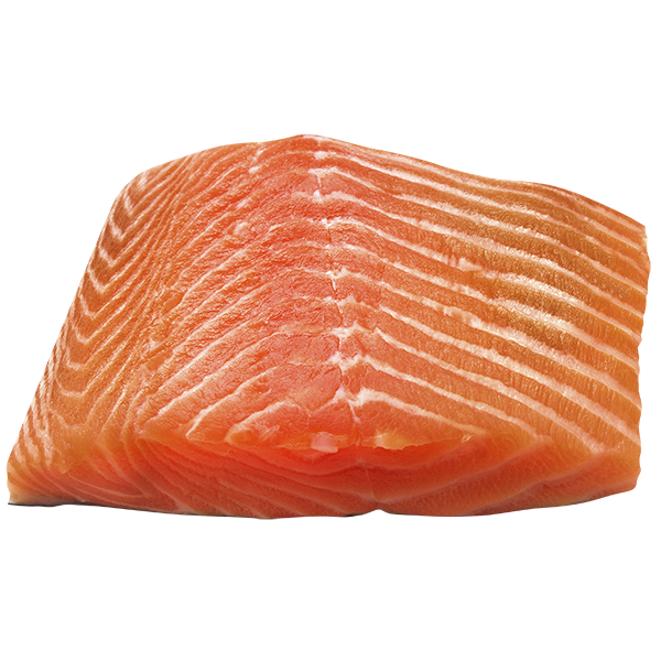 Salmon fillet raw